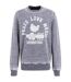 Sweat Peace Love Music Homme Gris Woodstock-4