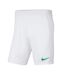 Short Park Homme Blanc Vert Nike-1