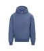 Sweat À Capuche Signature Adulte Bleu Vif Awdis-1