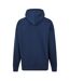 Mens Hooded Regular Hoodie Yale Blue Original Penguin-2