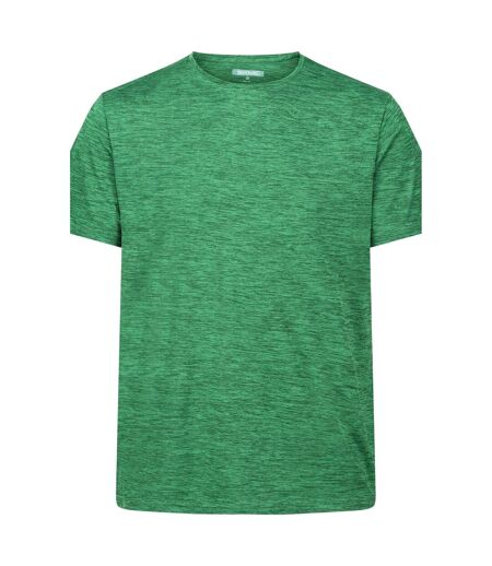 T-shirt fingal edition homme champ vert Regatta