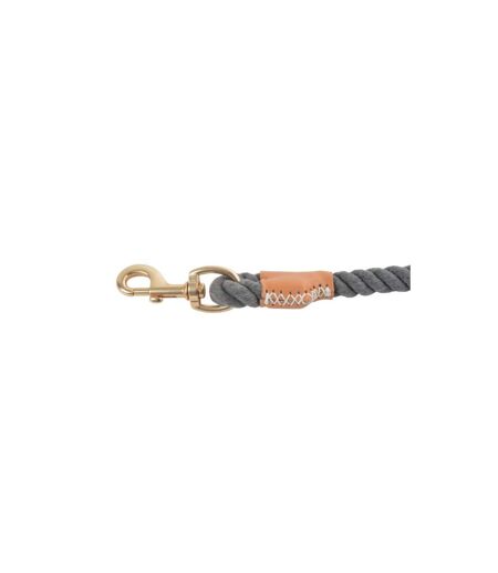 Collier Pour Chien Réglable City 70cm Anthracite