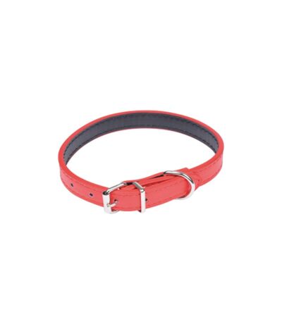 Collier pour Chien Design Uni 30cm Rouge