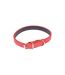 Collier pour Chien Design Uni 30cm Rouge-1