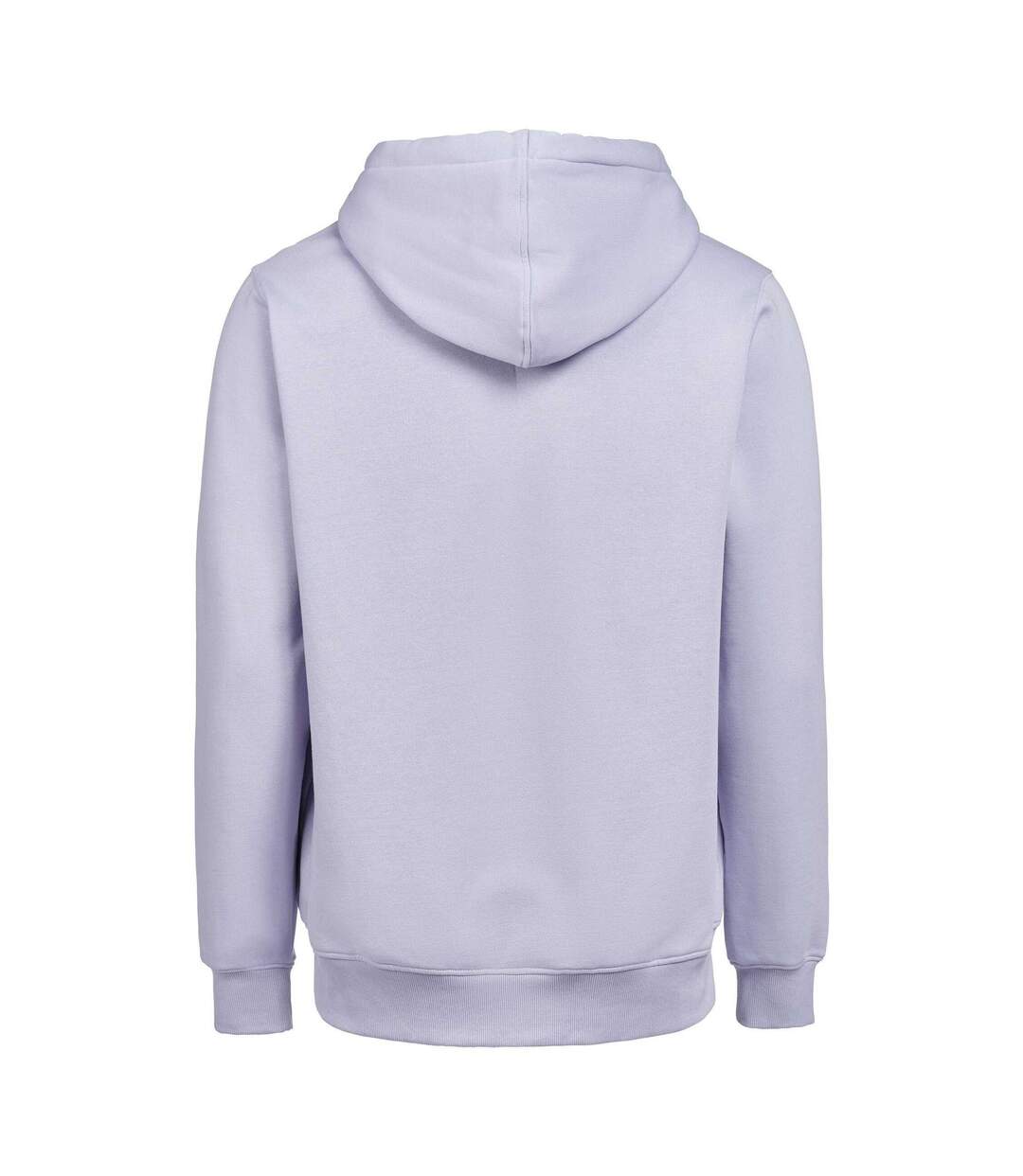 Unisex Adult Regular Hoodie Blue Aster Untagged Movement-2