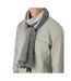 Écharpe Motif/style À Rayures Adulte Taille Unique Gris Spasso-2