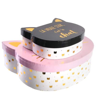 Lot de 2 boites de rangement pour enfant CAT