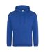 Sweat À Capuche College Adulte Bleu Roi Awdis-1
