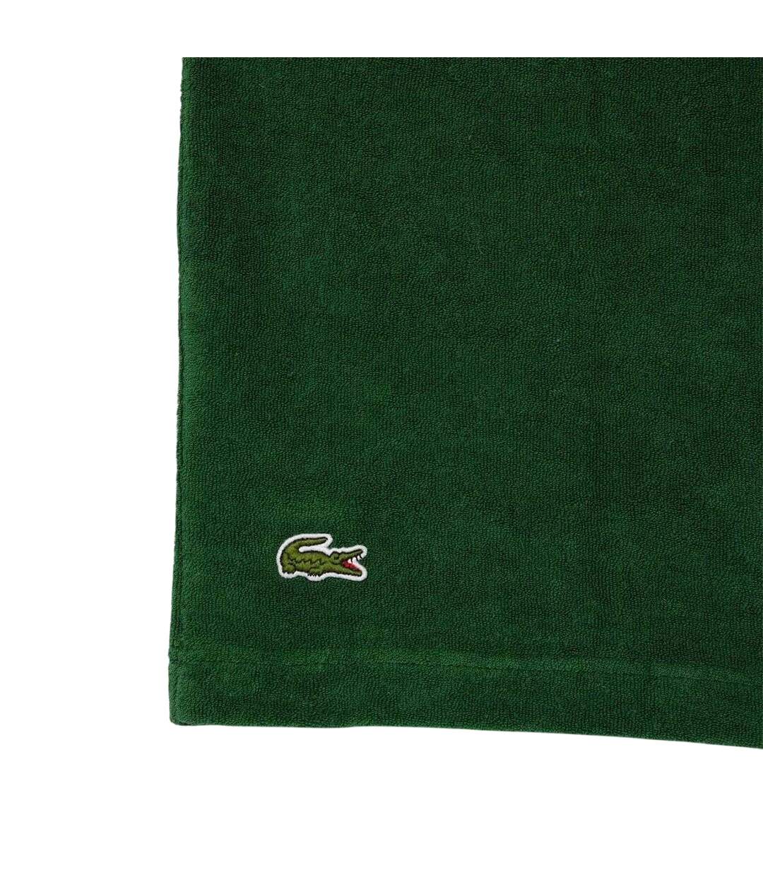 Polo Motif/style Rolandgarros Homme Vert Lacoste-3