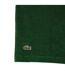 Polo Motif/style Rolandgarros Homme Vert Lacoste-3