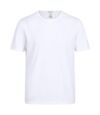 Regatta - T-shirt TORINO - Hommes (Blanc) - UTRG4091