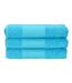 A&R Towels Print-Me Hand Towel (Aqua Blue) - UTRW6036