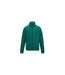 Veste Polaire Hadfield Homme Vert Méditerranéen Regatta-1