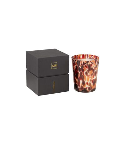 Bougie Parfumée Noa 17cm Magnificient Birch