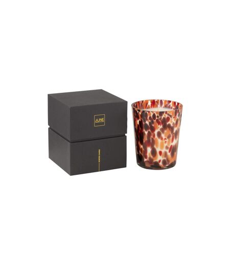 Bougie Parfumée Noa 17cm Magnificient Birch