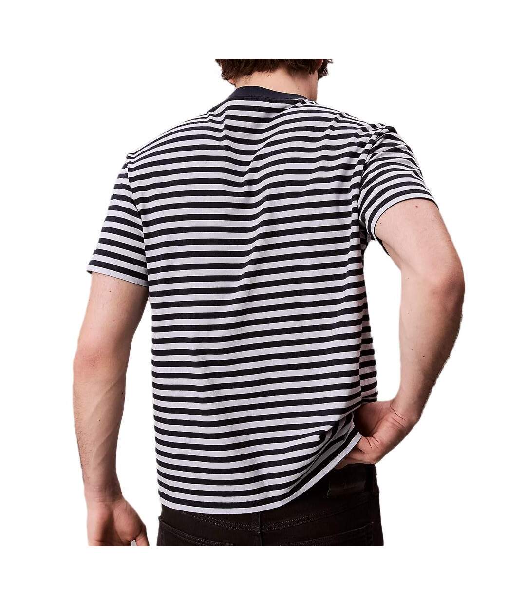 T-Shirt à rayure bleu/gris homme calvin klein jeans 20s stripe-2
