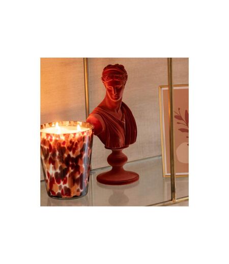 Bougie Parfumée Noa 20cm Magnificient Birch