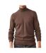 Pull Col Roulé Marron Homme Teddy Smith Loki