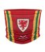Snood Motif/style Rétro Taille Unique Rouge Jaune Vert FA Wales-1
