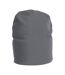 Projob Unisex Adult Lined Beanie (Gray)