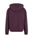 Sweat À Capuche Homme Violet Prune Urban Classics-2
