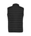 Roly Womens/Ladies Oslo Insulated Body Warmer (Solid Black) - UTPF4308