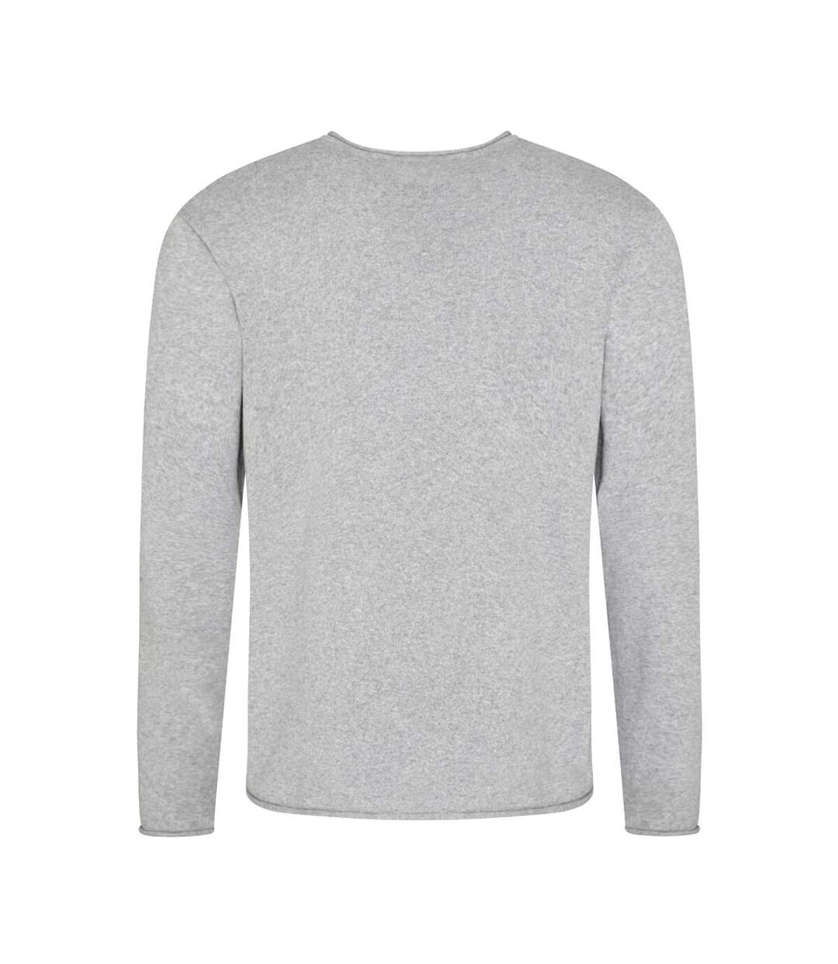 Ecologie - Pull ARENAL - Homme (Gris clair) - UTPC3064