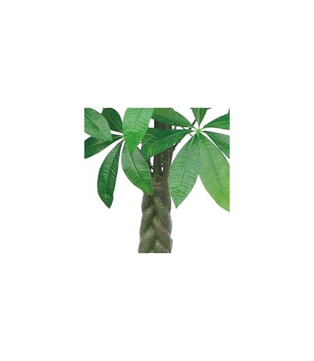 Plante artificielle Pachira 155 cm