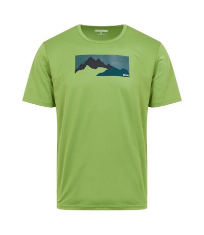 Regatta - T-shirt FINGAL - Homme (Vert piquant) - UTRG9779