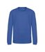 Sweat Adulte Bleu Roi Awdis-1