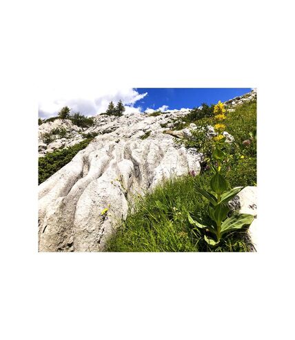 Découverte de la géologie en famille : randonnée de 5h face au mont Blanc - SMARTBOX - Coffret Cadeau Sport & Aventure