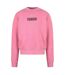 Unisex Adult Logo Sweatshirt Pink Palm Angels-2