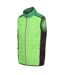 Regatta Mens Halton Baffled VII Colour Block Padded Vest (Jasmine Green/Field Green)