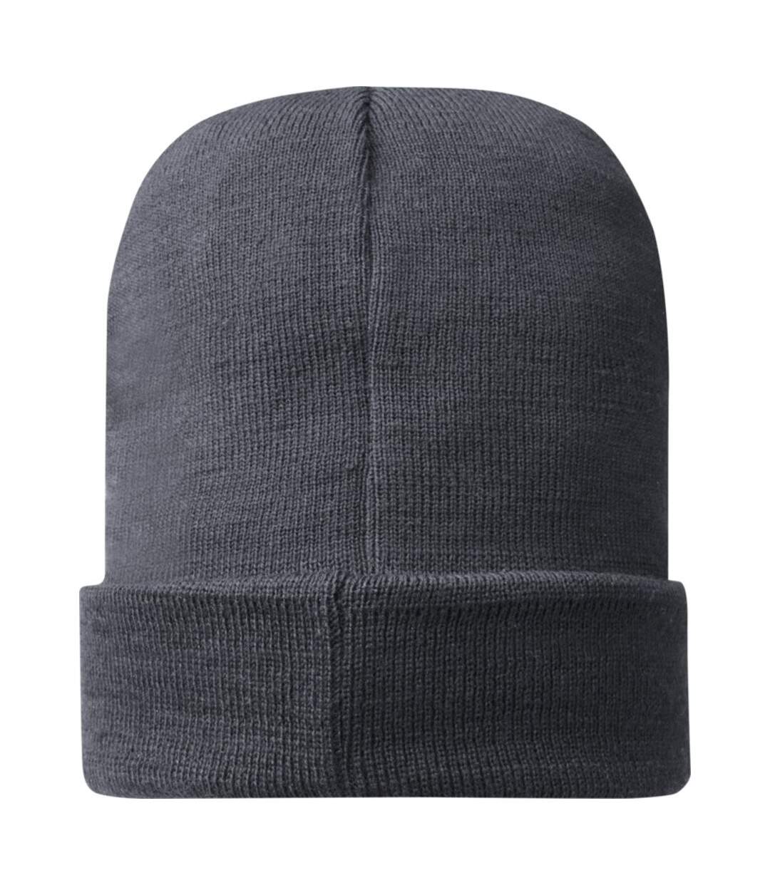 Elevate Unisex Adult Hale Polylana Beanie (Storm Grey) - UTPF3671-2