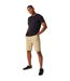 Mens Aldan Chino Shorts Oat Regatta-1