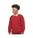 AWDis Academy Childrens/Kids Crew Neck Raglan School Sweatshirt (Red)