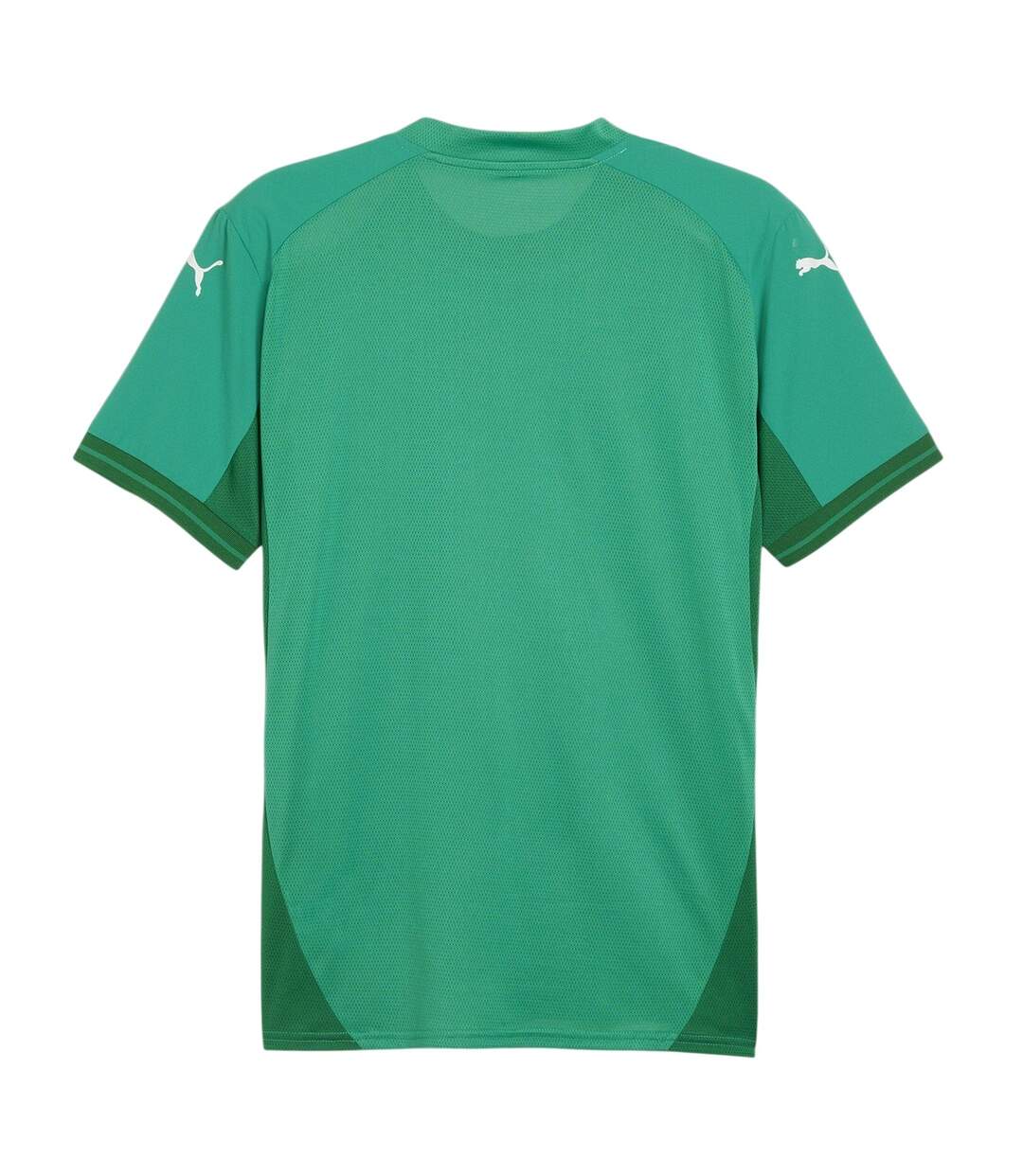 Mens Teamfinal Jersey T-shirt Sport Green Puma-4