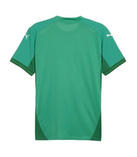 Mens Teamfinal Jersey T-shirt Sport Green Puma