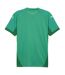 Mens Teamfinal Jersey T-shirt Sport Green Puma-4