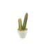 Plante Artificielle en Pot 1 Tige Cactus 22cm Blanc-1