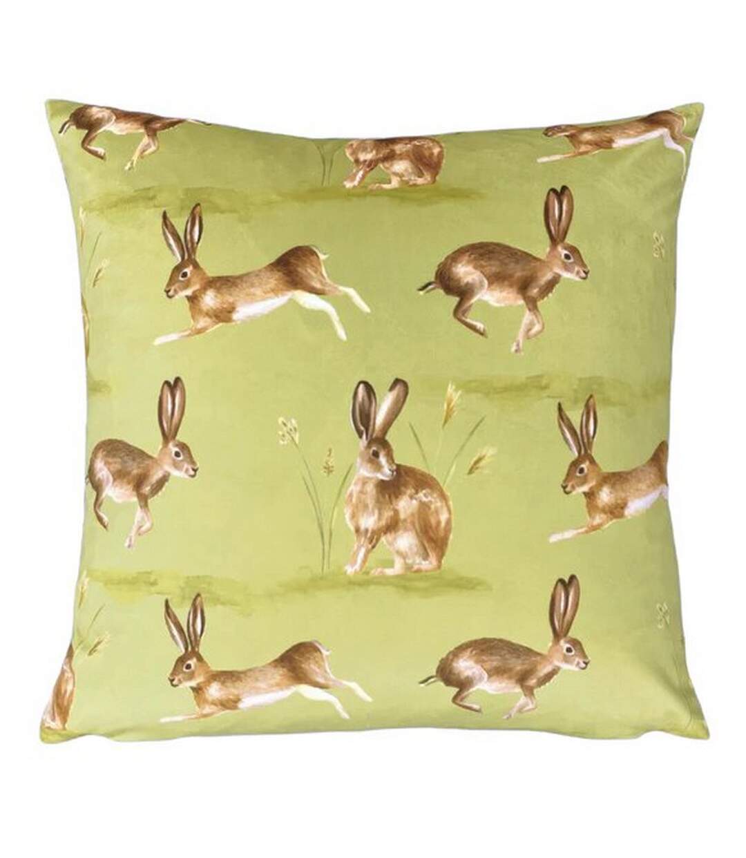 Country hare cushion cover one size sage Evans Lichfield