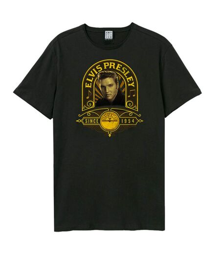 T-shirt studio portrait adulte anthracite Amplified