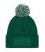 Bonnet Unisexe Pour Adultes Snowstar Printers Vert Blanc Beechfield-2