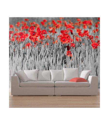 Papier Peint Coquelicots Rouge sur Champ Noir & Blanc 270x450cm