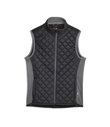 Veste Matelassée Noire Homme Puma Quilted - L