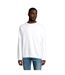 SOLS Unisex Adult Space Raglan Sweatshirt (White) - UTPC4314