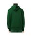 Sweat à Capuche Vert Lacoste Homme SH5643-LIG - L