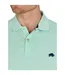 Mens Classic Organic Polo Shirt Apple Green Raging Bull-3
