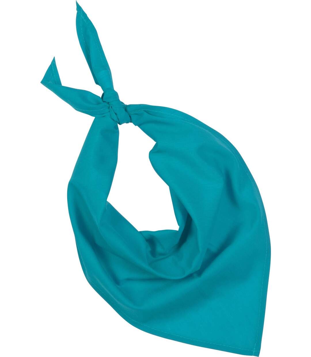 Lot de 10 bandanas fiesta - bleu turquoise-2