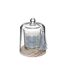 Bougie Parfumée Cloche Loli 130g Douceur de Lin